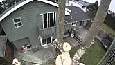 Advice on tricky tree felling?  |  Exactly.  I have been cutting firewood and felling big trees since 1976.  H ad a...