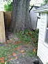 What is too shallow for a 4ft Chain Link Fence? |  countered a few issues. There is a shed in my back yard where I had planned  to...