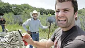 How do you get rid of an Agave Century plant on the side of the house  |  My friend has an old Agave Century plant in a relatively inaccessible location...