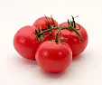 Late blight resistant tomatoes |  Are there any varieties of tomatoes that are late blight resistant besides...