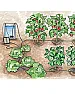 Drip irrigation, not pressurized |  It will work if you can get the reservoir 10 feet off the ground, and put some...