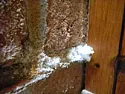 brick chiminey repair | &laquo; previous thread