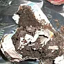 Fungi growing with my lettuce :(  |  Hello all I have made newspaper plant pots with the aim of cutting down cost...