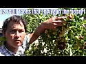 Growing giant vegetables in Wales  | next thread &raquo;