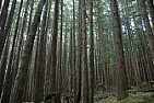 Woodwork in London, UK  |  Heading off to London, UK in the fall. Any places, etc. I should stop in see? I...