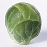 Brussels sprouts - need your input! |     Having never grown them before, I grew them in the summer/fall, and was...