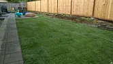 Is this sod completely dead? Any hope? | &laquo; previous thread