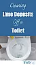 Preventing lime deposits in toilet bowl? |  Our well water is heavily mineralized.  Is there anything I can putin the toilet...
