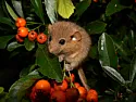 Mouse deterrents |  Use correctly ultrasonic repellers do work. I had a severe problem in lofts in a...