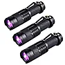 Replacement torch  | http://news.bbc.co.uk/1/hi/england/4371992.stm 