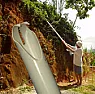 Cherry picker, but pole, not platform!  |  This kind of thing? ...