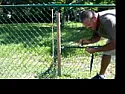 How to stretch Chain Link Fence?  | next thread &raquo;