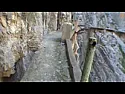 'elf & safety - TV tower style | &laquo; previous thread