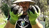 organic matter ???  |  ...smothering...   little trees coming back from seeds or coming up from roots...
