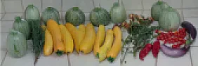 08-04-2018 harvest  |  Hi All, My 08-04-2018 harvest:     https://ibb.co/gt07Qp  From top right to...