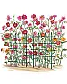 ideas to support gladiolus |  Take a look at the material I used to make these tomato...
