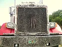 Bugs |  I've never seen as many bugs as we have this year. I use my leaf blower...