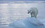 Scientists lie?  |  Who would have thunk it?...
