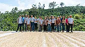 Coffee is a good source of nitrogen?  | &laquo; previous thread