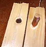 Inside of a knot  |  I'm assuming you mean a knot in wood here?  I like the other sort. Always ...