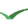 Seeds And Strains And Some Problems  |    most the time in grasses if there are a lot of  weeds germinating that means...