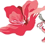 Re: Azalea's won't bloom (again) |  I think you will find your answer with the Azalea Society of America.There...