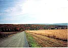 Asphalt Driveway Over Gravel:  Why The Gravel ? |  Hello,Was just wondering about this.It is pretty well accepted, apparently, that...