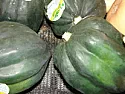 acorn squash  |  I had had no idea what you meant by an 'acorn squash' so did a google...
