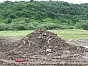 Planting Soil...  |  Snip...Many years ago their was an episode which I do not remember. The show...