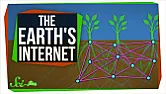 The plant Internet. What does it mean for us?  | &laquo; previous thread