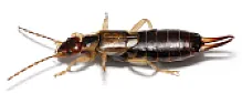Bug?  | &laquo; previous thread