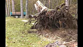 Stump removal - Very Interesting Video  |  Interesting video.  I have done stump pulling on my own using a  all-wheel-drive...