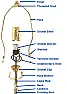 Tightening light assembly |  Also, may sure there is not an excessive amount of wire. I trimmed alittle wire...
