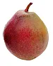 Dwarf pears for zone 5 |  Seckle pears aka "candy pears" are quite small, but the tree bears a huge...