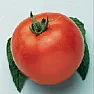 Favorite tomatoes  |  Cherry Gold : compact determinate plants recommended for smal pots andindoor...
