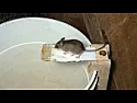 Odd OT Question: Bees wax and mice  | &laquo; previous thread