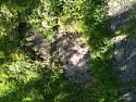 Concrete under lawn  |  I bought a house last year and have finally got around to starting tosort out...