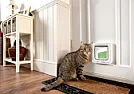 Cat flaps that work with ID microchips chips  |  Cats donlt have owners dogs do, cats have staff. ;-)    According to cats...