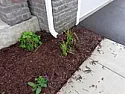 downspout water  | next thread &raquo;