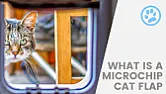 remote locking cat flaps |  new GF moved in with 2 kitties,they have just got to the stage of going out, and...