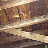 White stain with powdery substance on wood joist