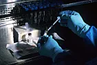 OT. RNA vaccine  | next thread &raquo;
