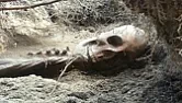 A Canadian couple who recently stumbled upon a skeleton is now saddled with a $5,000 bill  | ...