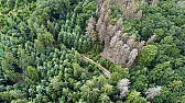 Tree woes can cause headaches... and heartaches! |  The Plant Man columnTree woes can cause headaches... and heartaches!Trees add so...