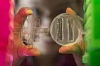 Another Bio-char article  |      Microbes in and around food crops do not just cause human disease.  In...