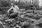 Final Report - The Grand Tire-Gardening Experiment (LONG!!)  |  Final Report - The Grand Tire-Gardening Experiment August 31, 2003 This...