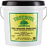 Rot discovered in Birch tree - Bronze Birch Borer ? |  I have a white birch (I assume it's a paper birch) that's basically 2big...