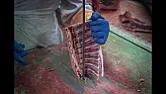 Move over, SawStop ...  |  Experimental aircraft and hang gliders are controlled by a human.  If they are...