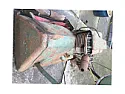 Help identifying Atco four stroke model  |  Hi, I found this in my dad's garage. All I can see is it is an Atco...