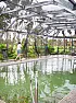 Reccomendations for a Pool Sweep? |  due to an unfortunate, er um, misplacement of my pool sweep. we are now in need...